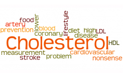 cholesterol basics